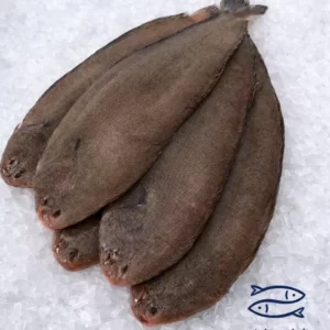 Tong: Sliptongen 6st/kg €/kg 33,99